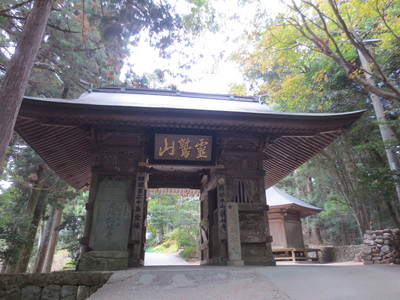 IMG445_0009.JPG