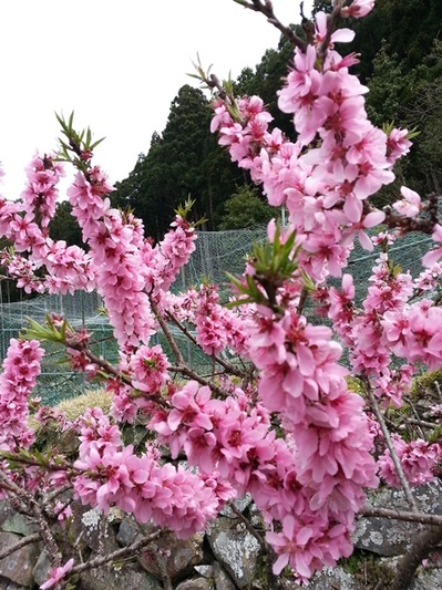 20140329_132032.jpg