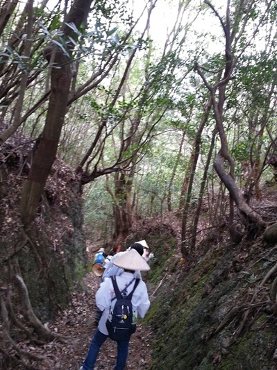 20140329_161439.jpg