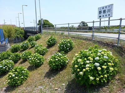20140524_123431.jpg