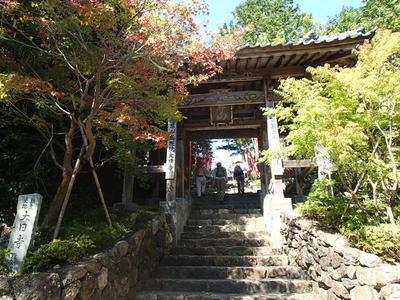 P9270011.jpg