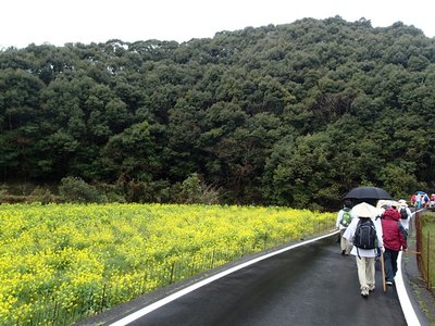 P3290043.jpg