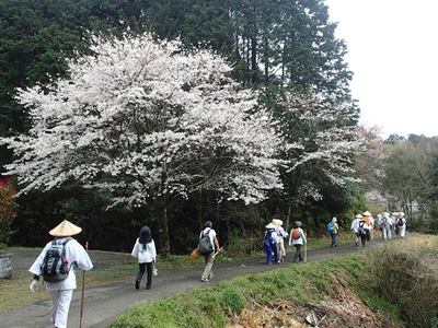 P3290059.jpg
