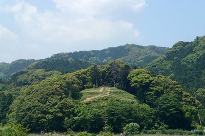 P4260046.jpg