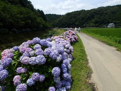 P6280050.JPG