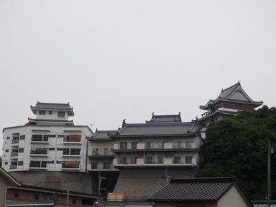 P5284123.JPG