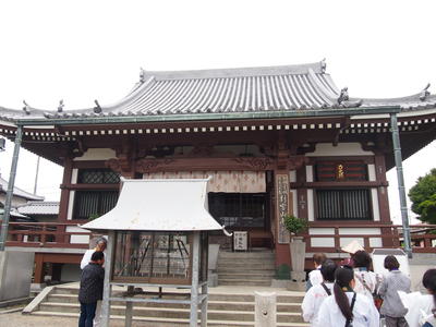 P5284129.JPG