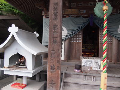 P6044146.JPG