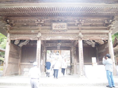 P6114255.JPG