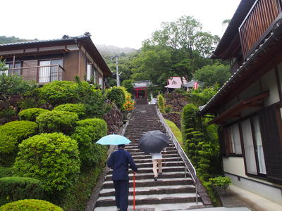 P6250052.JPG