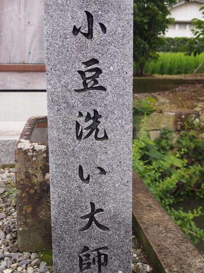 P6294266.JPG