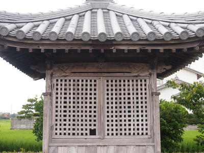 P6294267.JPG