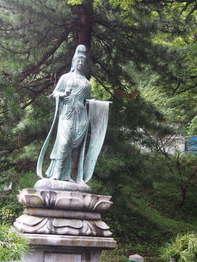 P6294286.JPG