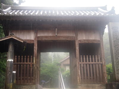 P6294297.JPG