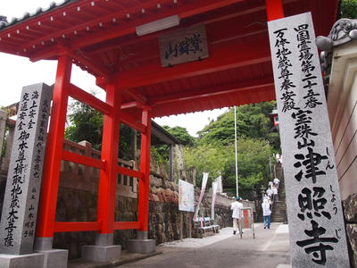 P7035402.JPG