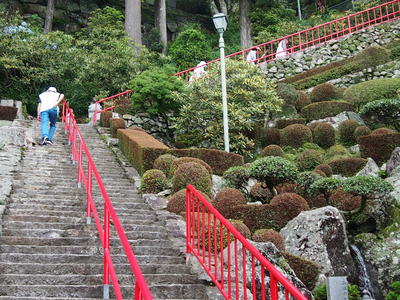P7035420.JPG