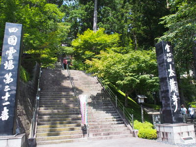 P8111569.JPG