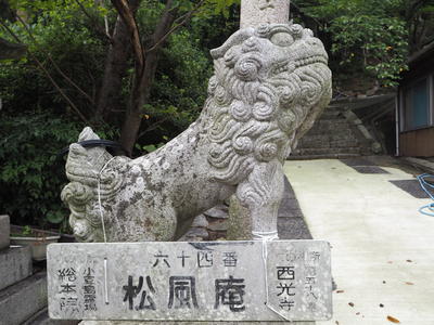 P9150014.JPG