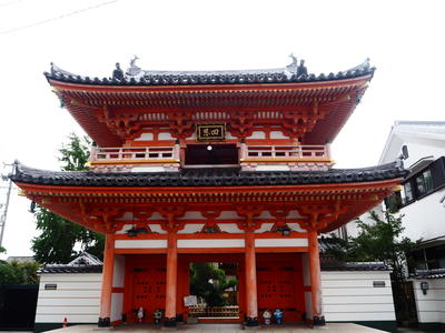 P9150029.JPG