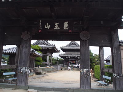 PA169120.JPG