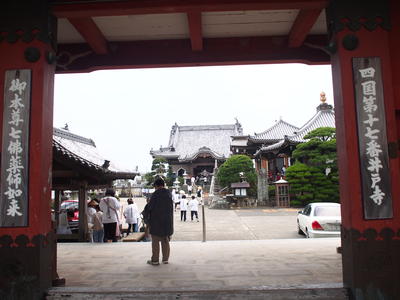 PA169129.JPG