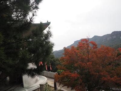 PB100067.JPG