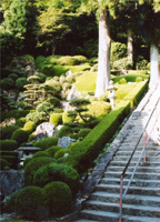 石段沿いの景観